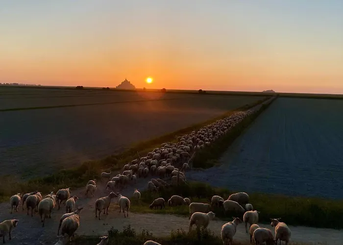 Nouveau, Grand Avec Vue Sur Le Mont Vakantiehuis